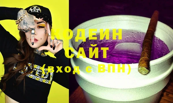 тгк Снежногорск