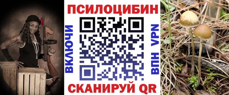 Псилоцибиновые грибы Psilocybe  как найти наркотики  Себеж 
